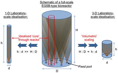 Bioreactor Scalability: Laboratory-Scale Bioreactor Design Influences Performance, Ecology, and Community Physiology in Expanded Granular Sludge Bed Bioreactors